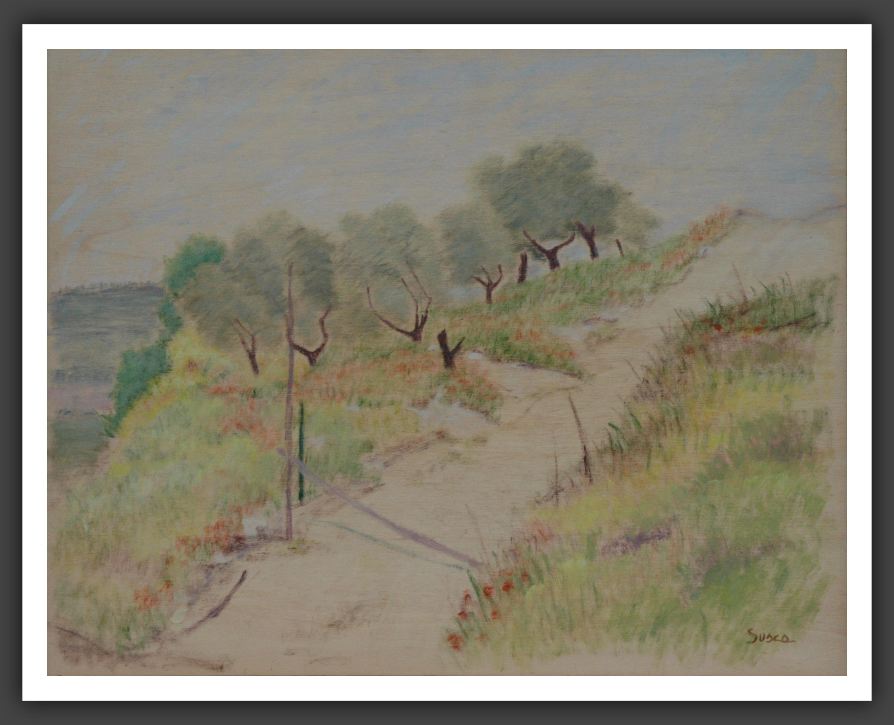 137-40x50