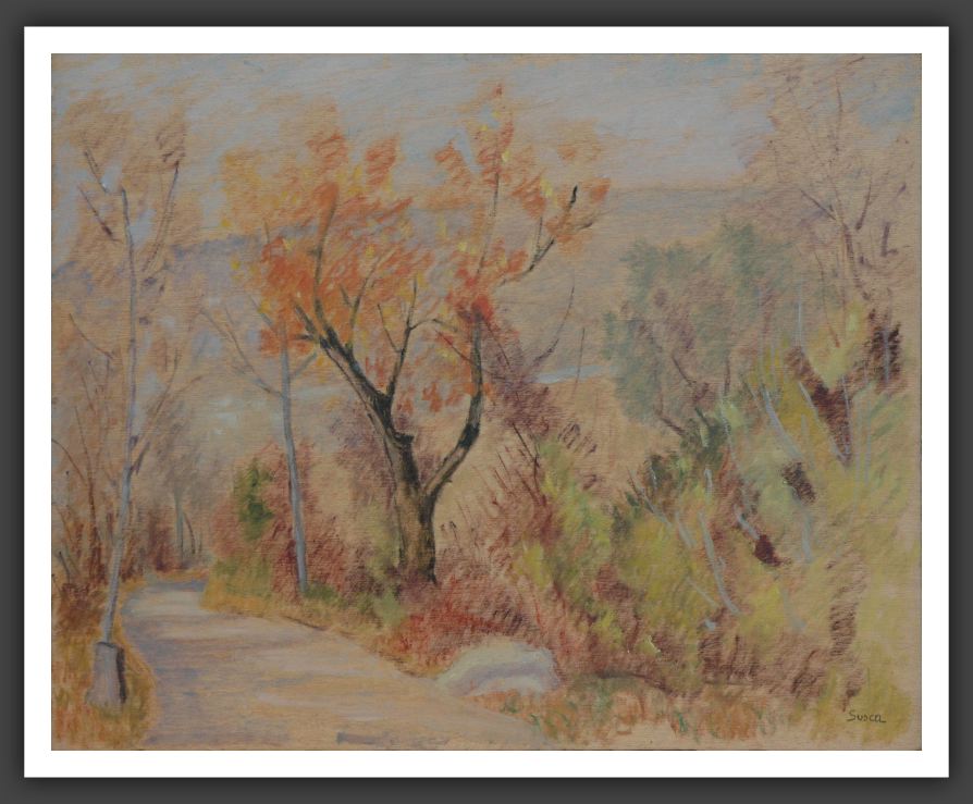 141-40x50