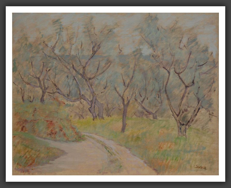 146-40x50