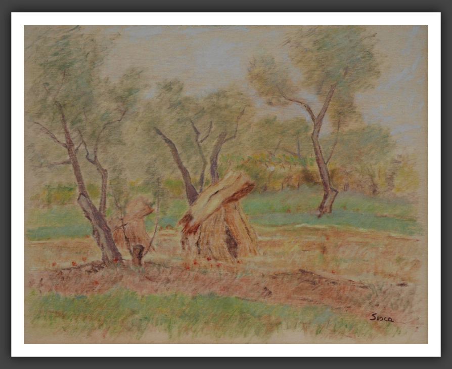 201-40x50