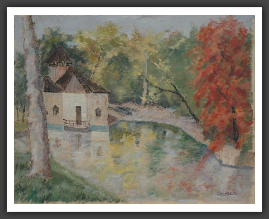 202-40x50