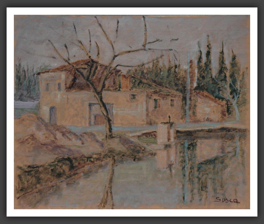 229-40x50