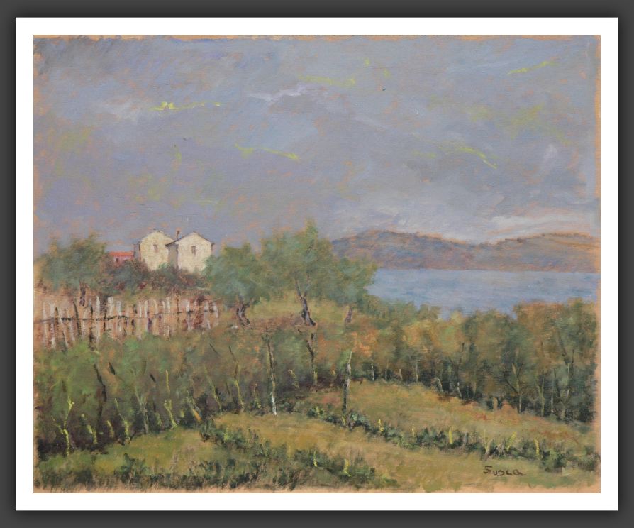 231-40x50