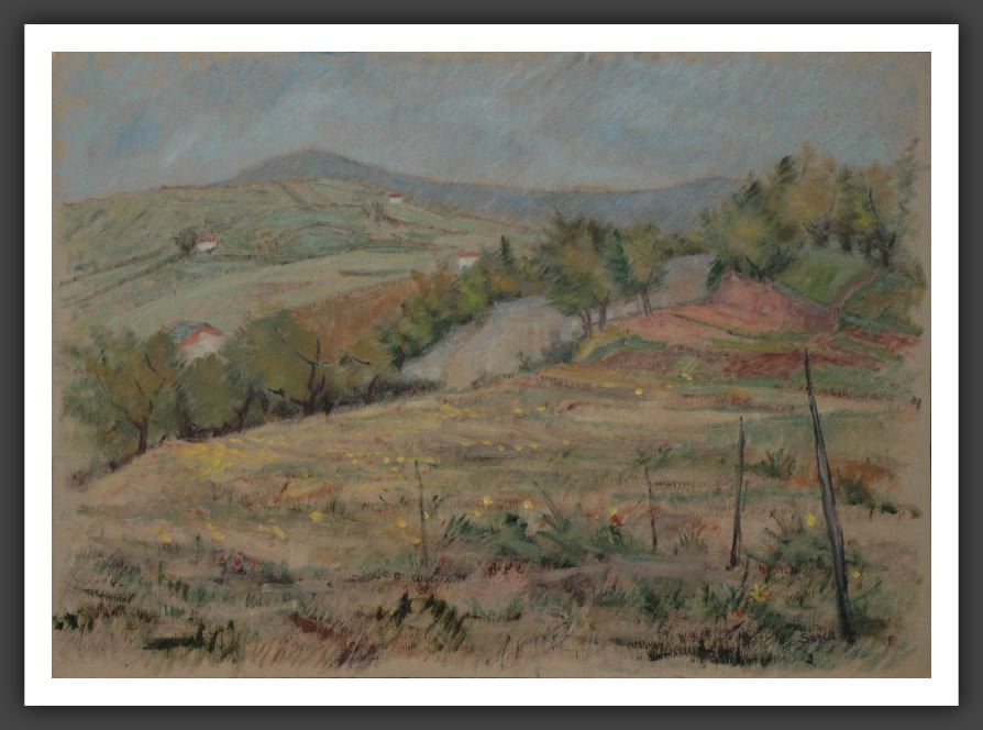 254-50x70