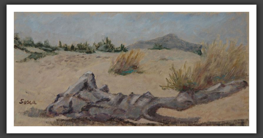 278-20x40