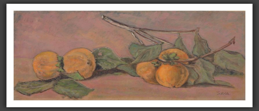 280-20x50
