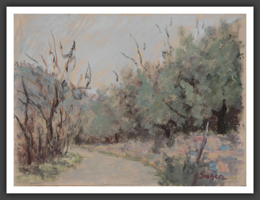 284-18x24