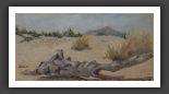 278-20x40