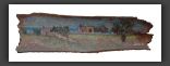 302-corteccia-eucalipto12x42